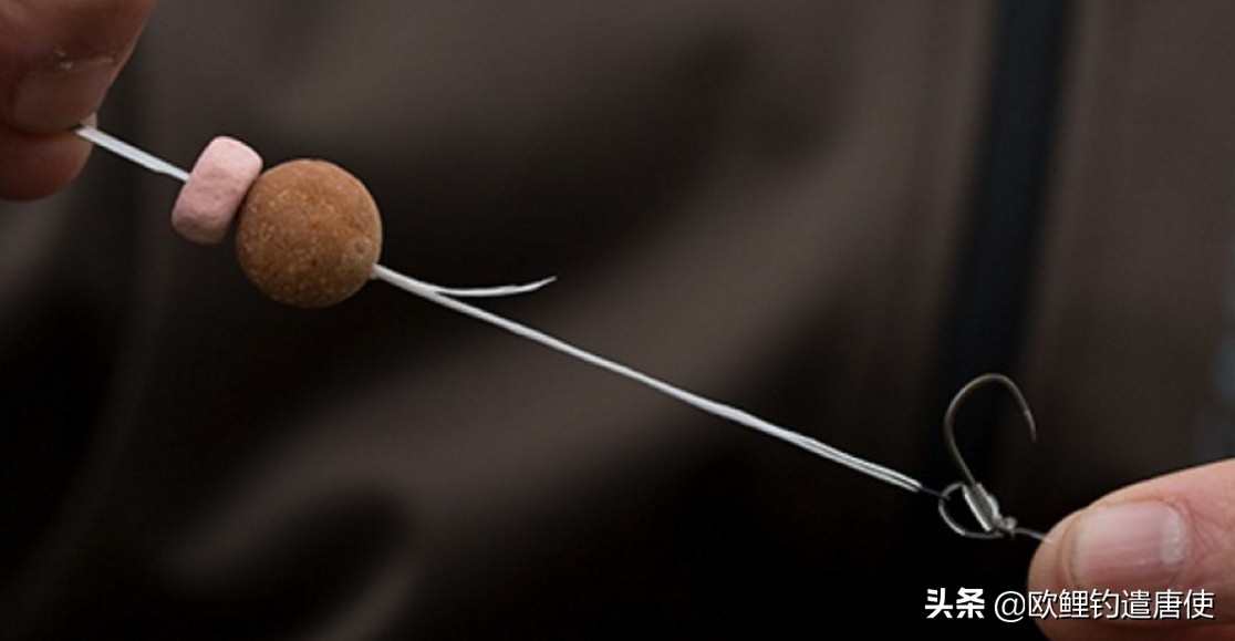 话说欧鲤钓最新消息,话说欧鲤钓鱼完整版