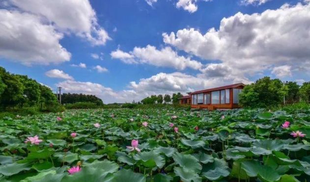 江苏无锡星级乡村旅游区,无锡最出名的旅游村