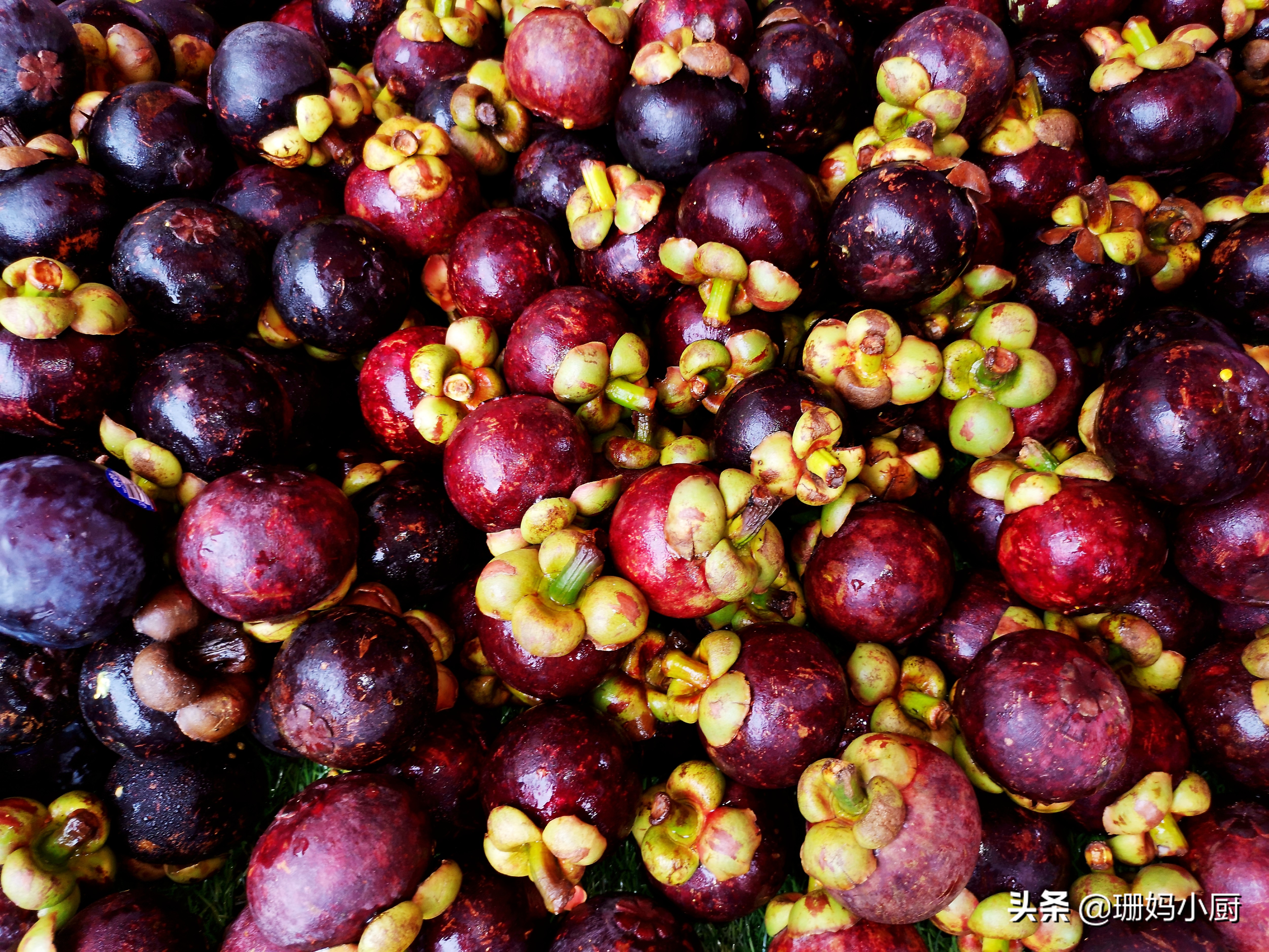 怎么挑山竹的好坏,怎么挑选山竹技巧图解