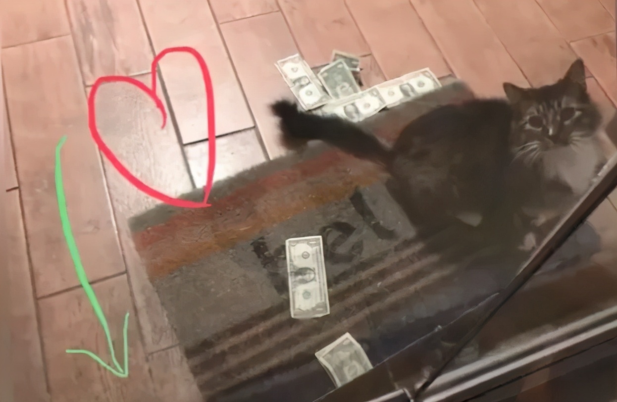 招财猫美国,招财猫可以招财