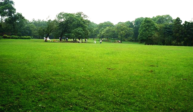 成都最高的山海拔多高,成都爬最高的山