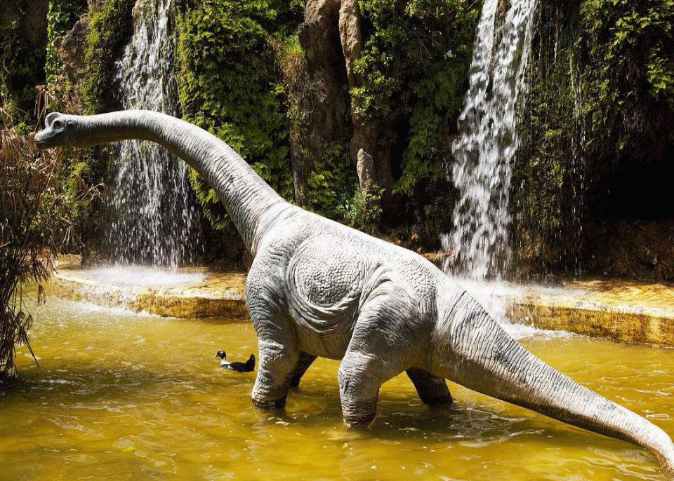 恐龙为什么体型那么巨大,恐龙那么大怎么生存