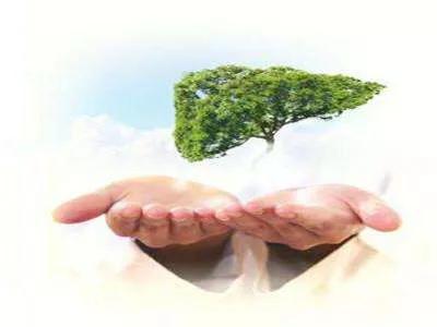 妊娠肝功能异常是挂什么科,妊娠肝功