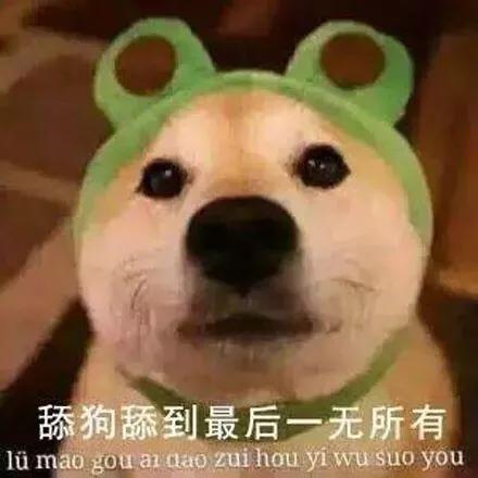 舔狗的下场最终还是不会被珍惜的,为什么舔狗终究不会有好下场