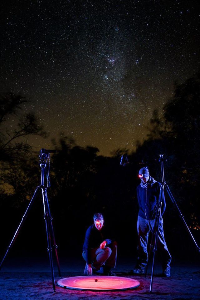 屎壳郎滚粪球正确方法,屎壳郎是如何滚屎球的