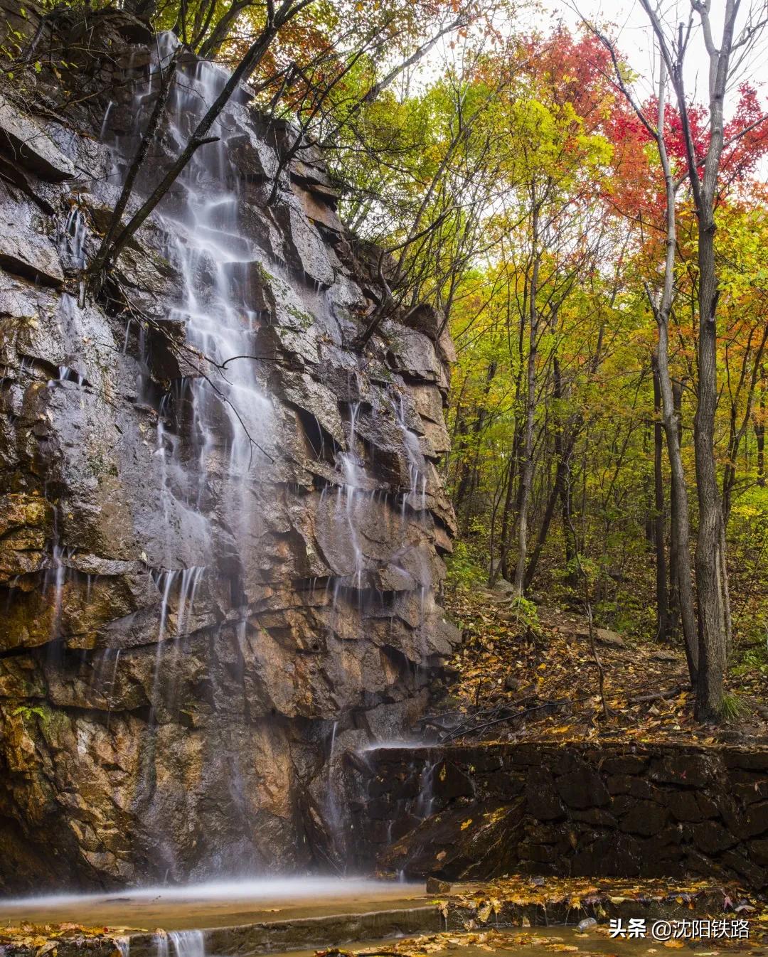 这份攻略带你走进最佳赏枫地,四大赏枫胜地你最想打卡哪个