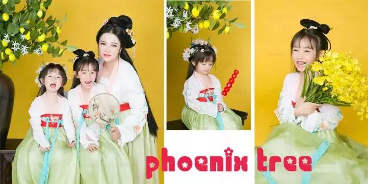 凤栖梧古风摄影凤凰古城,凤栖梧复古摄影玉门关