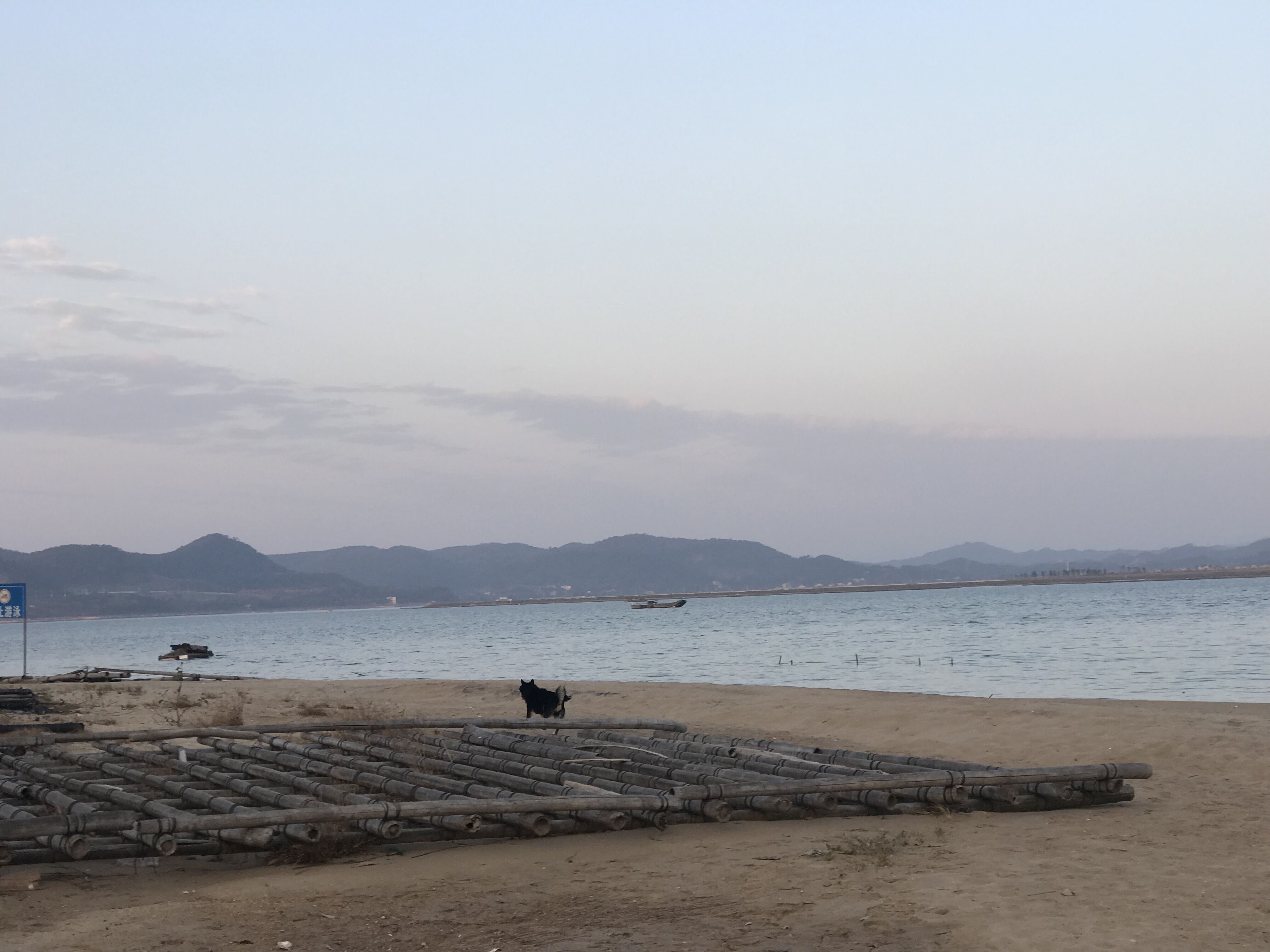 又见东兴,故地重游口岸都关闭了,不同时间不同伙伴不同心情