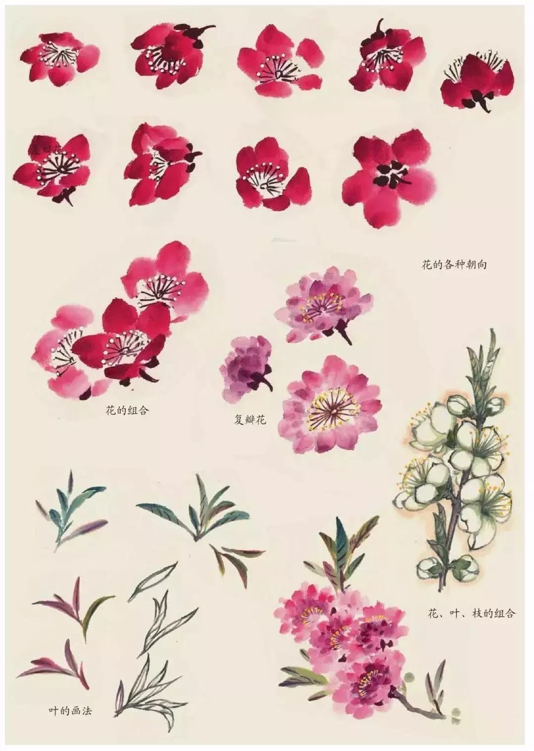 国画中各种花卉的画法,国画花卉画法步骤视频教程