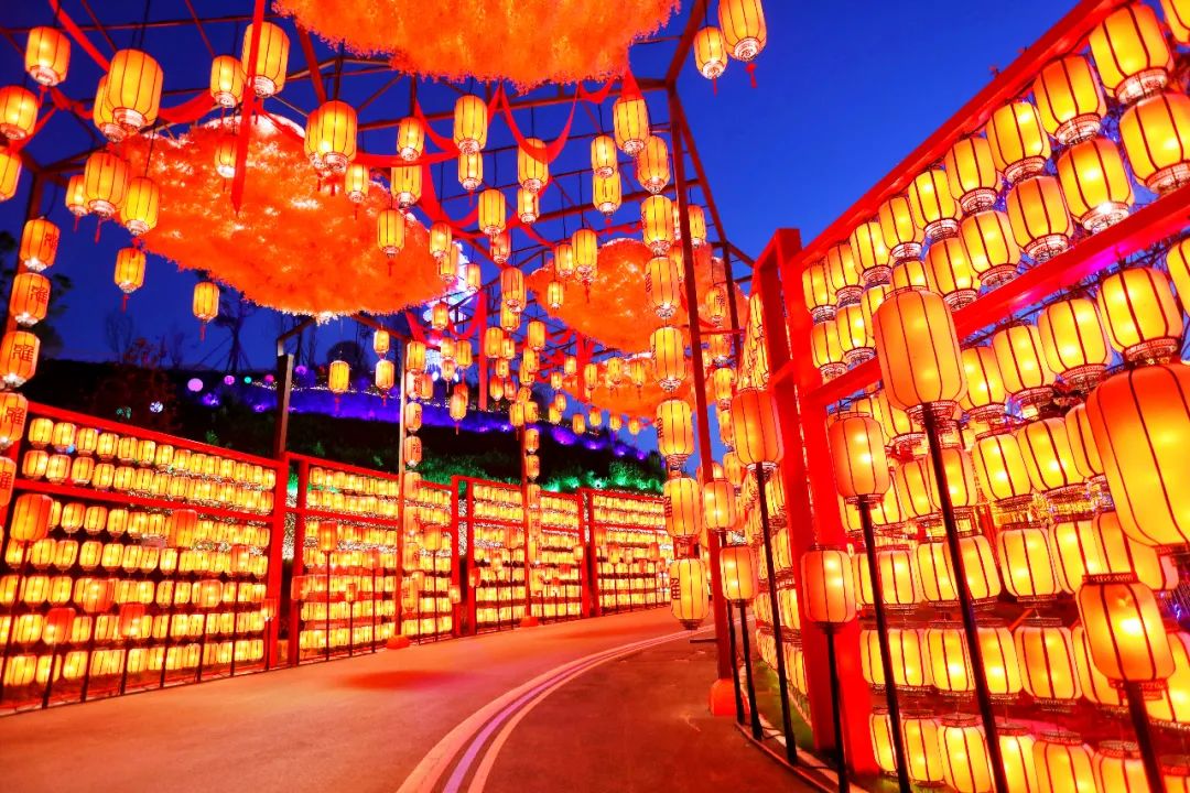 投资近2亿元！全世界规模最大的自贡灯会，一晚上逛到腿废