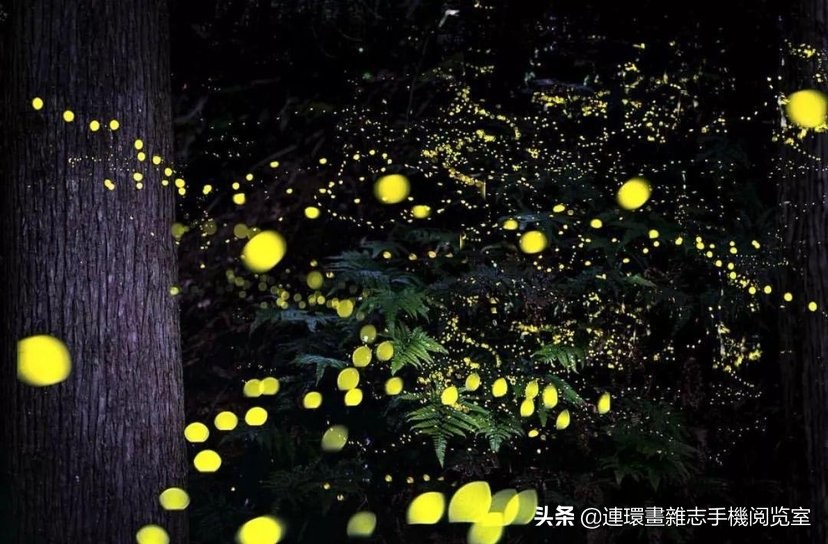 皇帝种地顺口溜,种地插秧顺口溜