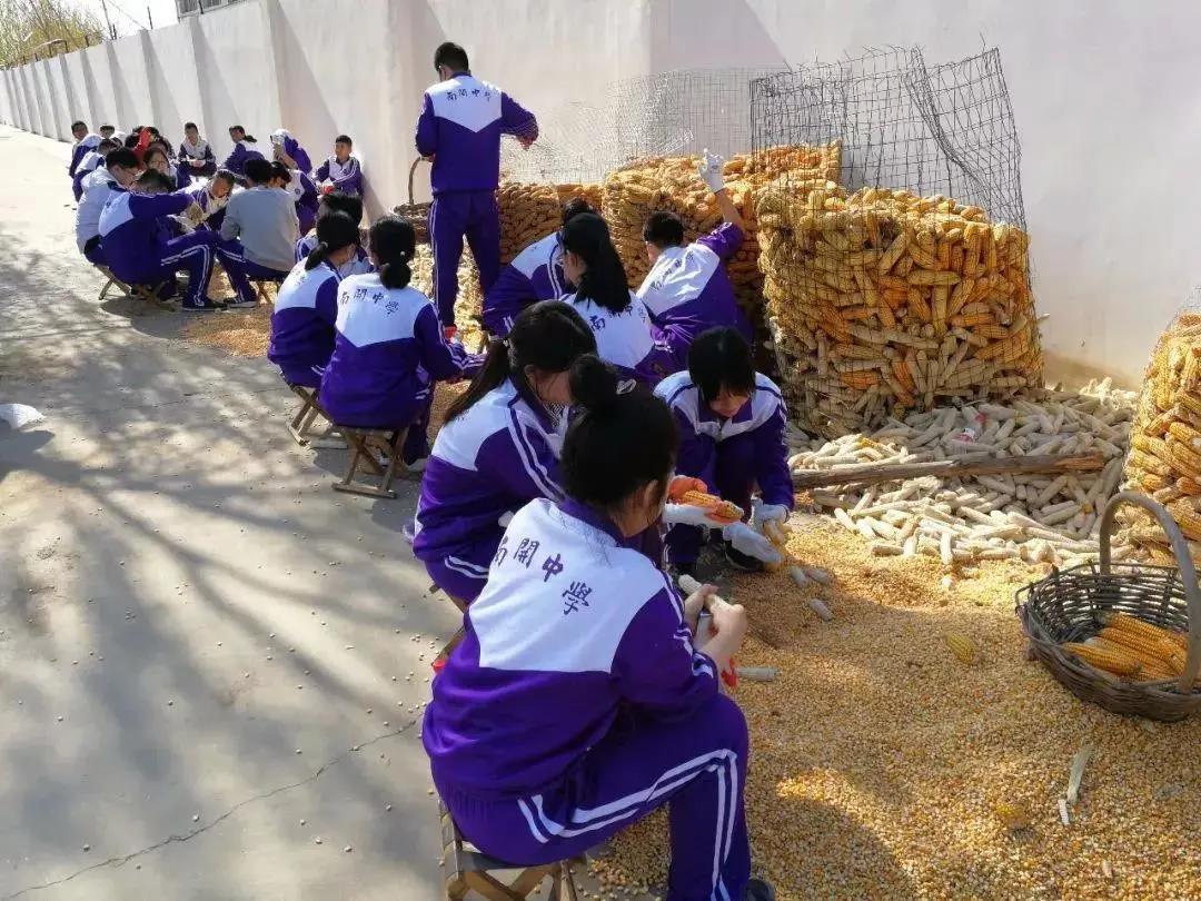 天津南开中学是中国最牛中学,天津南开中学分流