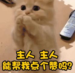 泰国见！重庆斯威冬训将转战！有可能与河南建业热身