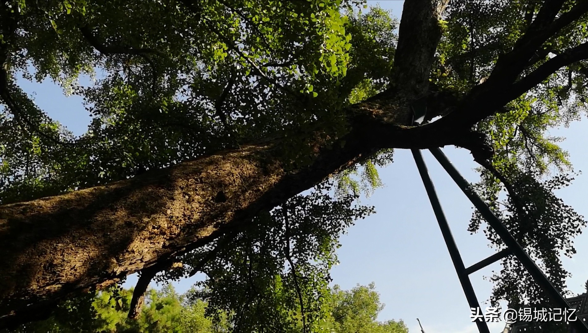 无锡第一古镇是哪个区,无锡惠山古镇讲解视频