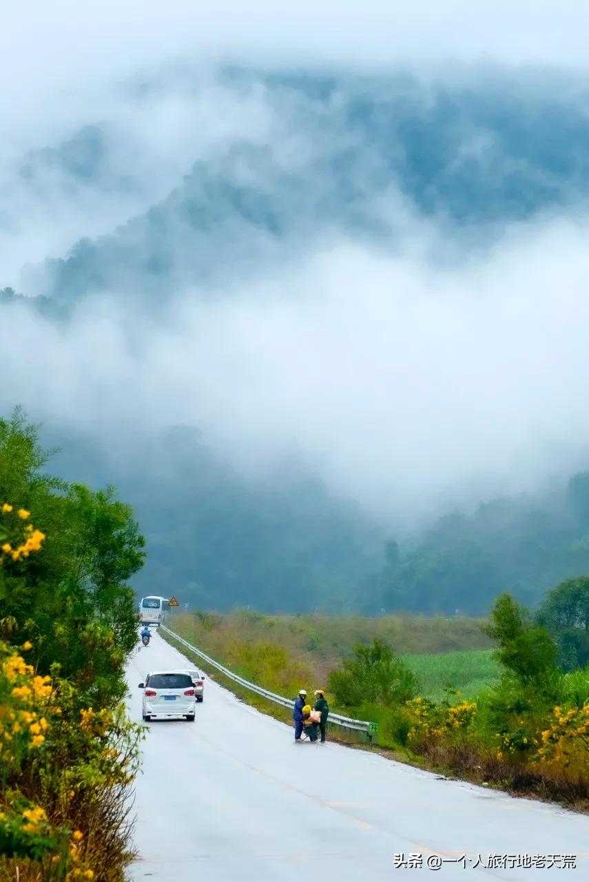 清明旅游一日游攻略,清明旅游三日游攻略