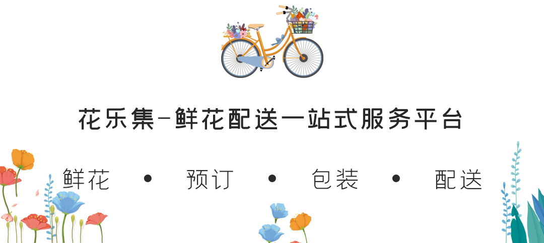 不同种类的玫瑰花如此多，分别表示什么含义？