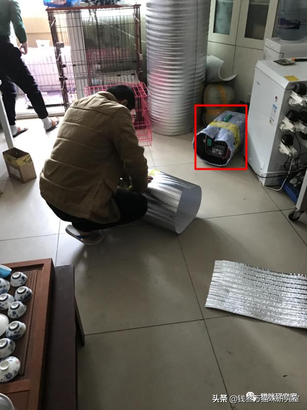 给大家介绍宠物托运的全过程,找托运宠物公司托运宠物注意什么