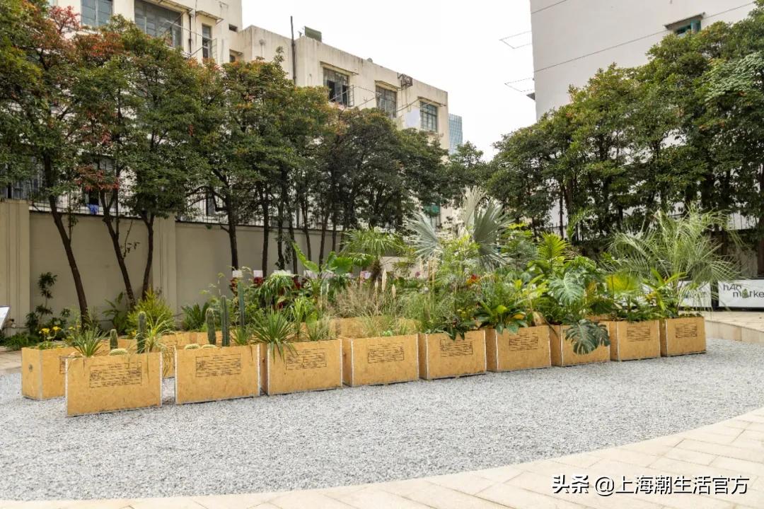 时髦精都在逛的hAomArket好市,一站式承包你的冬日小众好物