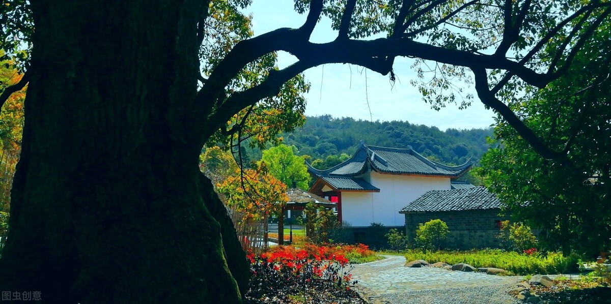 广德市的经济发展，竹子有贡献吗？这都是广德人不说的秘密