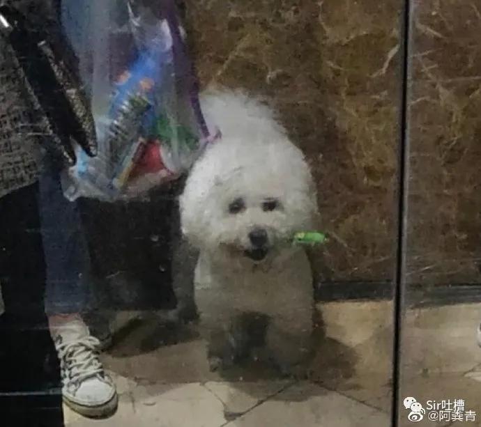 对象偷看你的手机怎么办,对象偷看自己手机怎么办