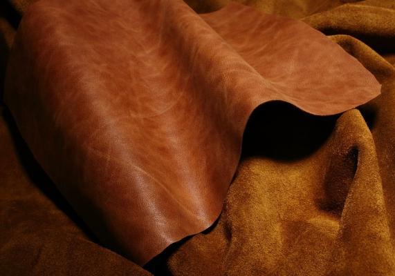 牛皮的基本知识大全,牛皮的相关知识