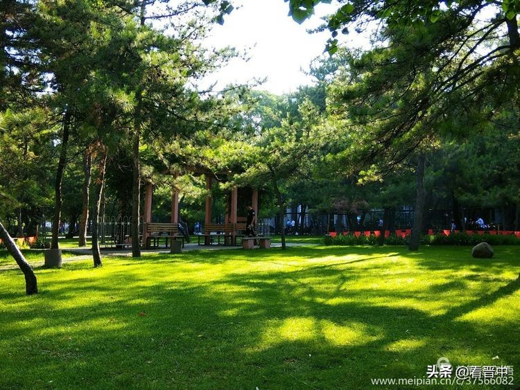 山西农大美丽的校园,山西农大校园风光