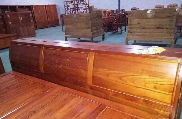 香椿树百木之王的由来,千树之王的故事对话