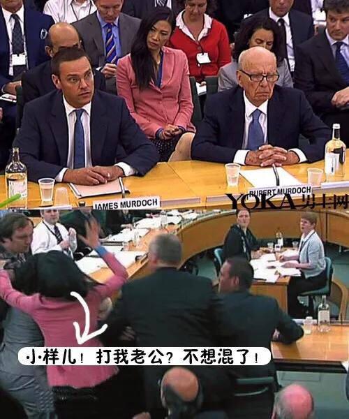 逆风飞扬向阳而生增强生命的韧性,逆风飞扬成就不平凡的人生