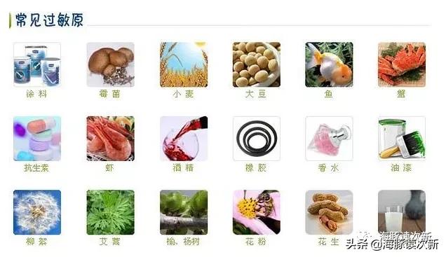 过敏检测+自免检测龙头！打破国际垄断，自免化学发光新品已放量