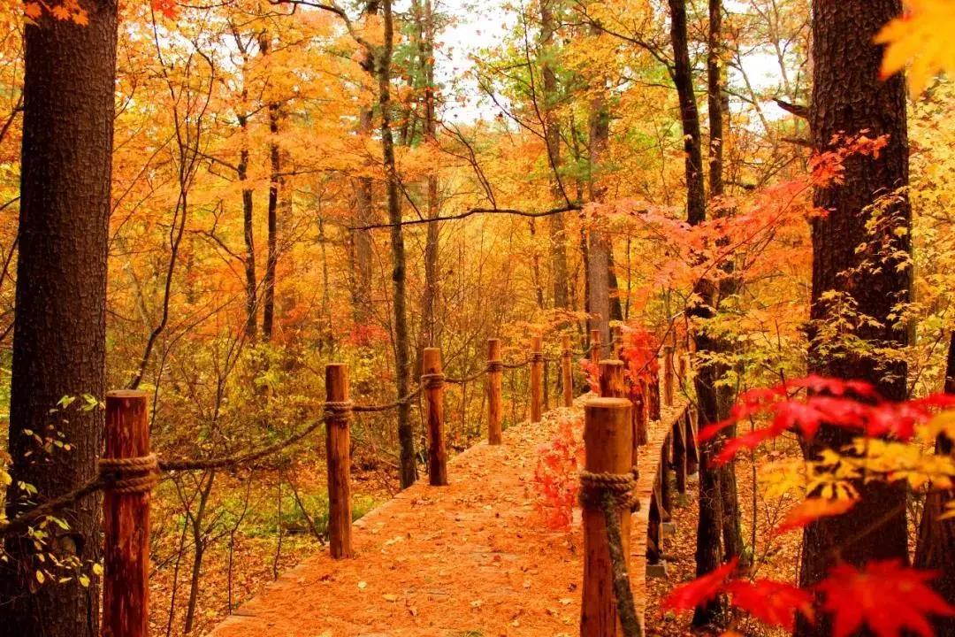 旅游景点畅玩团购,景点游玩优惠团购