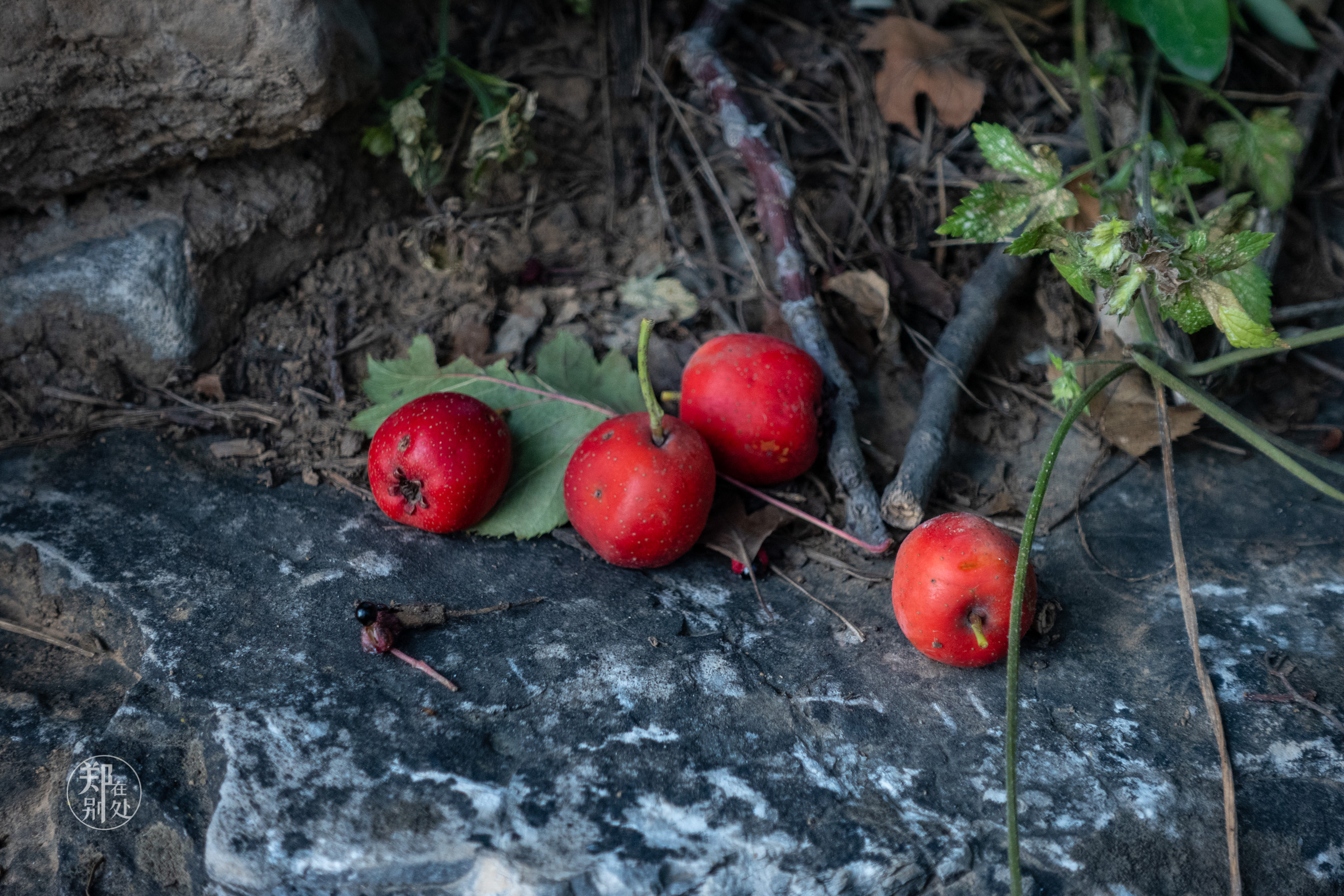 山西太行山攻略,山西太行山古村落自驾游