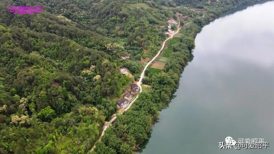 昭平县桂江东岸公路视频,贺州昭平道路建设