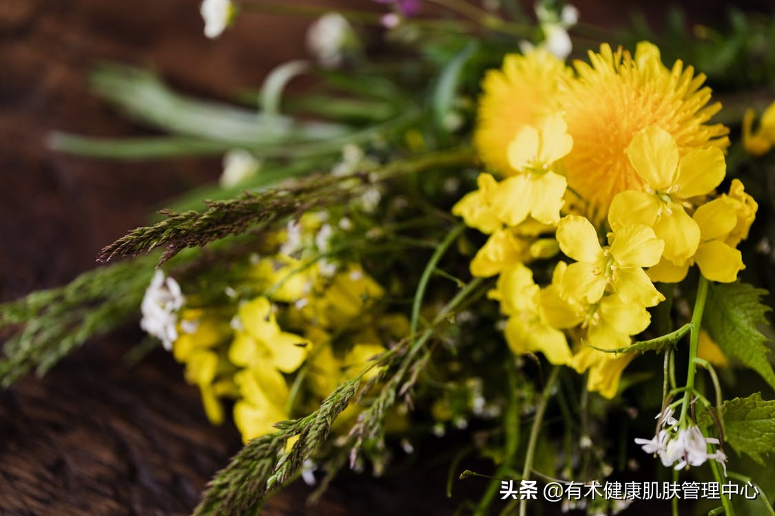 纯露是含精油好还是不含精油好,纯露是农产品还是化妆品