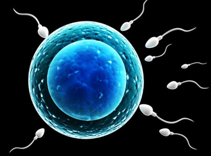 揭穿科学的面纱,走近科学令人无法接受的科学真相