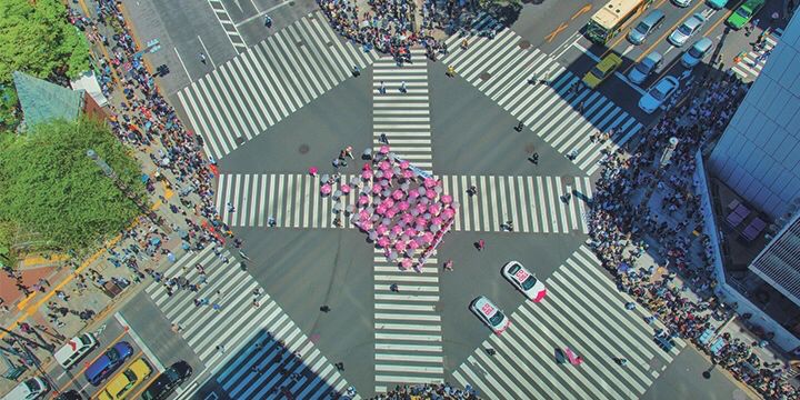 熊本熊之父,熊本熊之父广告