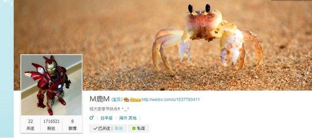 都有哪些明星喜欢钢铁侠,鹿晗都喜欢漫威哪个英雄