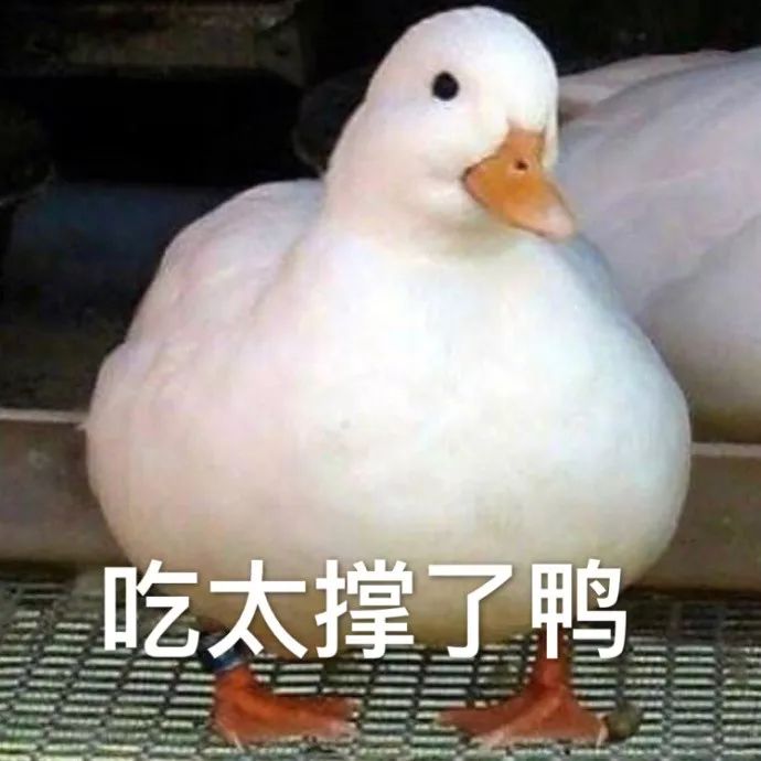 香奈儿阿玛尼tf哪个好用 (香奈儿tf三代)