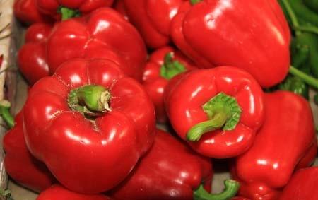 维生素c咀嚼片可以给龟用吗,维生素c咀嚼片可以给鱼用么