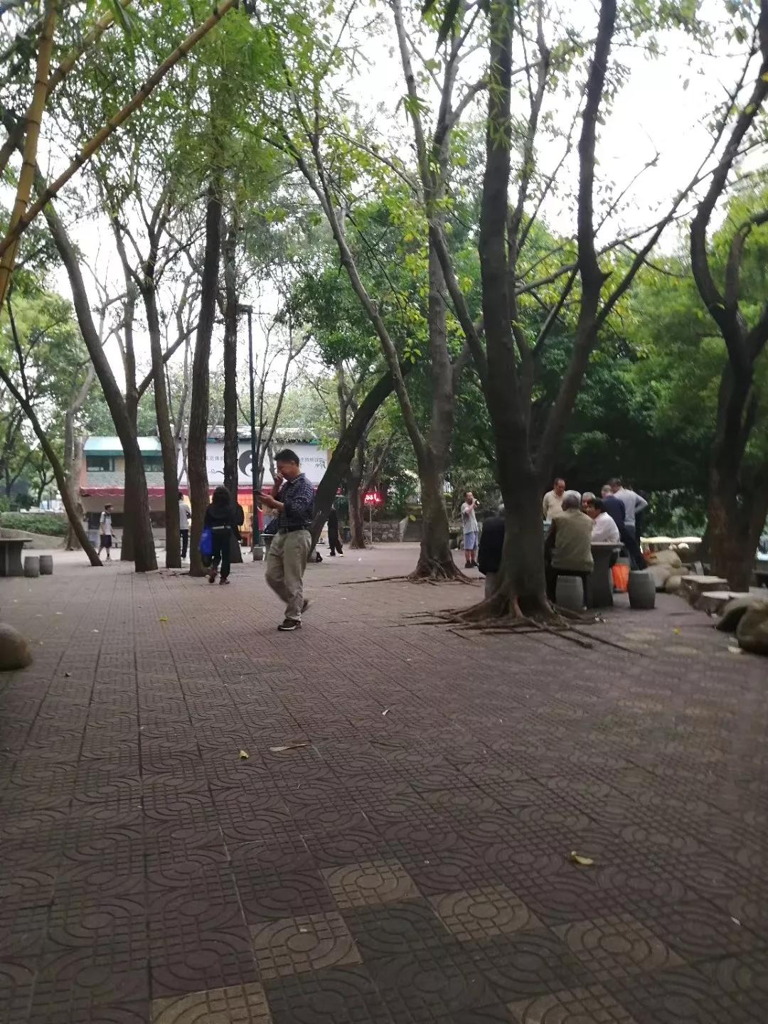 番禺南站旅游攻略,广州3号线地铁番禺旅游攻略