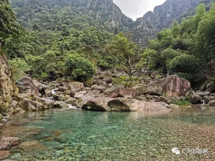 广州周末带娃避暑好去处,广州避暑亲子游好去处