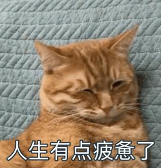 七星彩中几颗才有奖,七星彩中2个号有奖吗