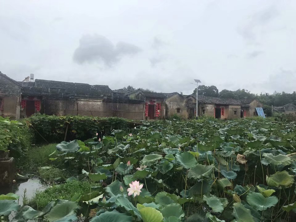 广东省内旅游景点推荐一日游,广东省内游自驾游推荐