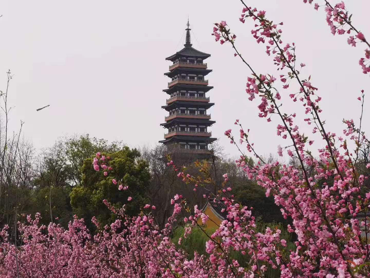 三月的瘦西湖到底有多美,瘦西湖景色到底有多美