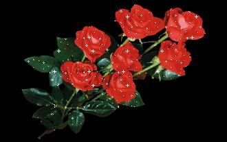 520祝福语表达爱意句句温馨美好,520祝福语送给最在乎的人