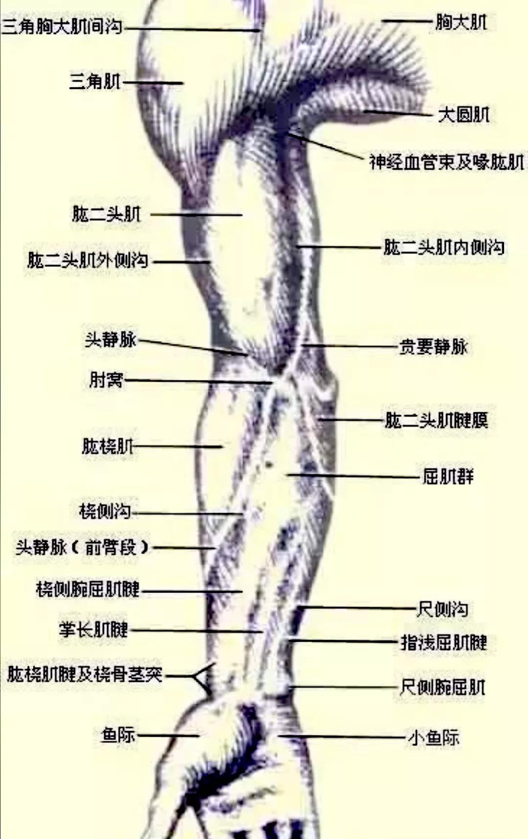 太极练功札记5,太极拳修行日志6式