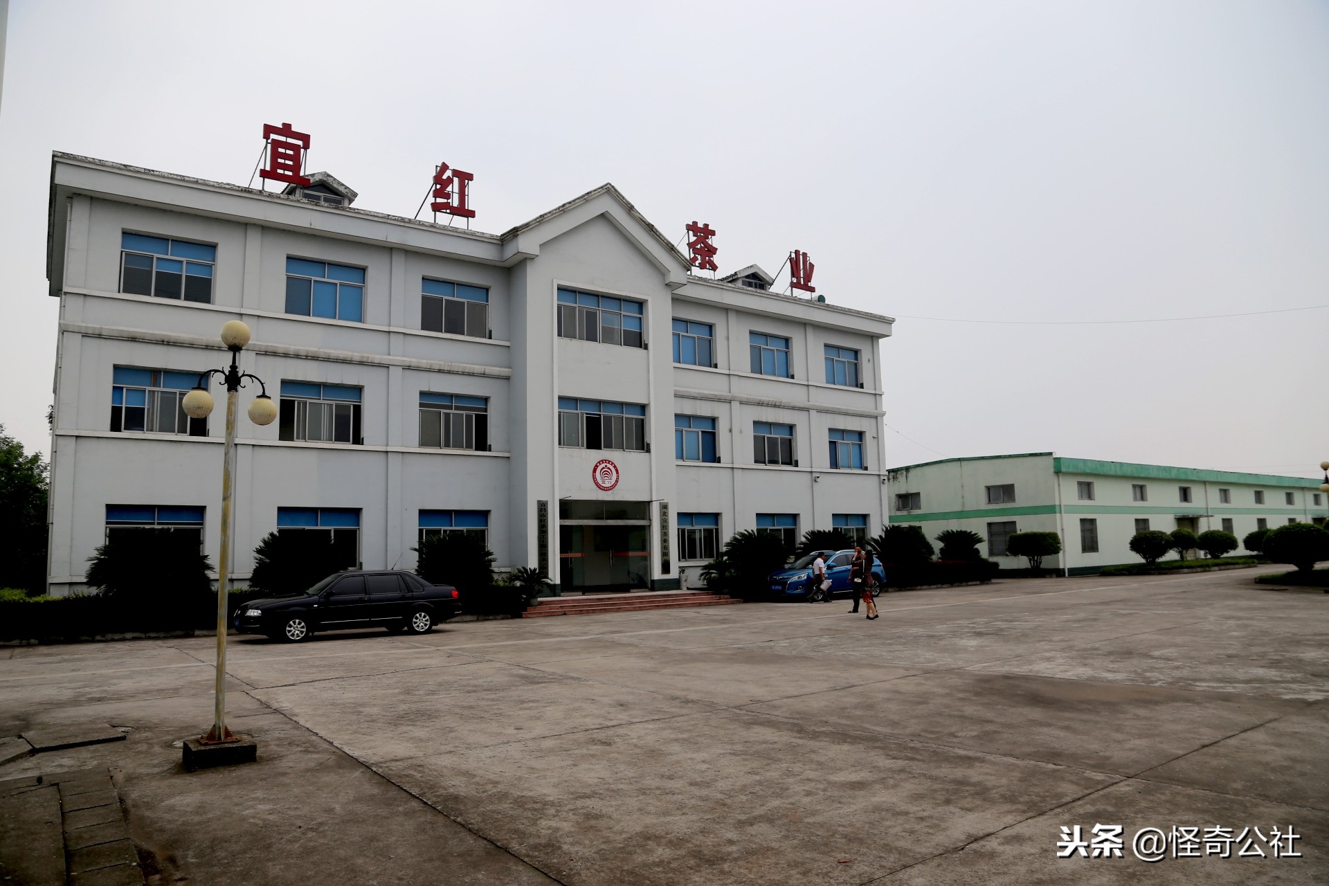 享誉世界的百年品牌——宜昌宜红，“万里茶道”上的新亮点