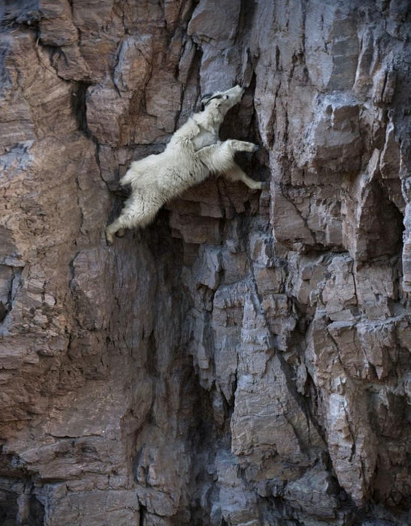 中国的熔断股灾是哪一年,中国股市2015年熔断背后的原因