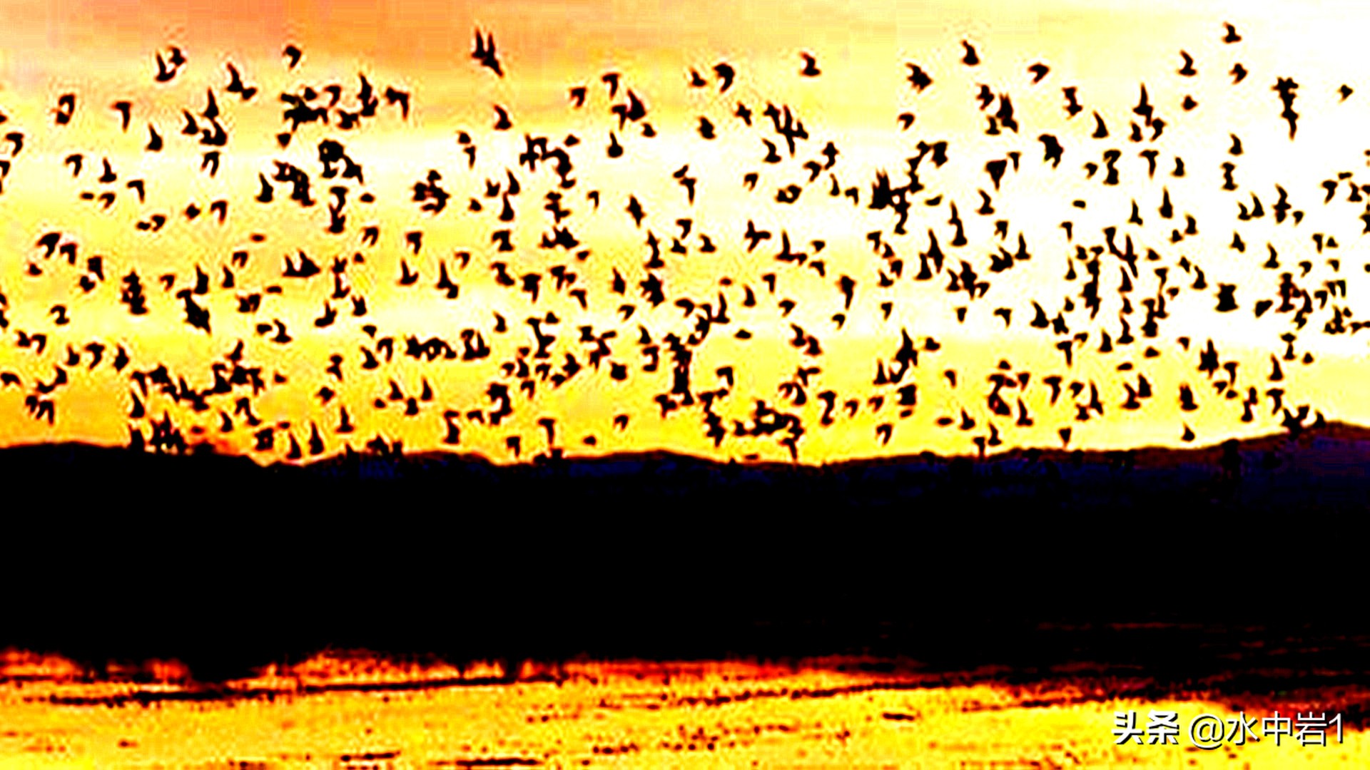 长江流域湿地生态环境保护,长江流域环境保护成果