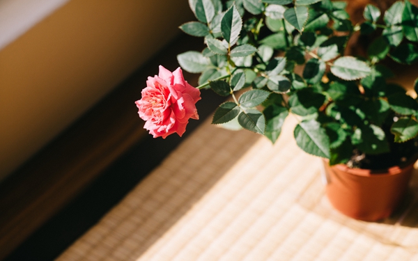 不要对任何人太好的视频,不要对任何人太好说说