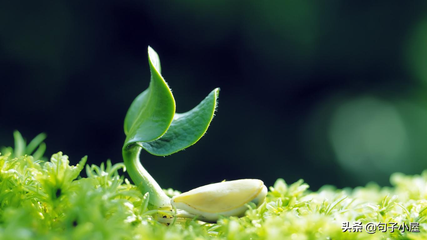 100个成语及历史人物,国人需要知晓的100个历史成语